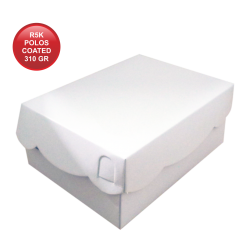 R5K POLOS COATED 310 